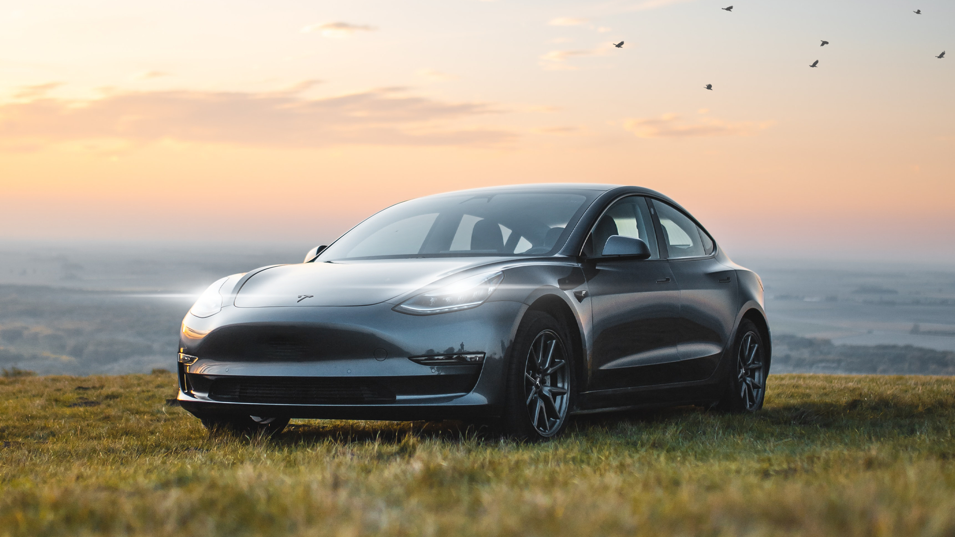 Vue du paysage de Tesla